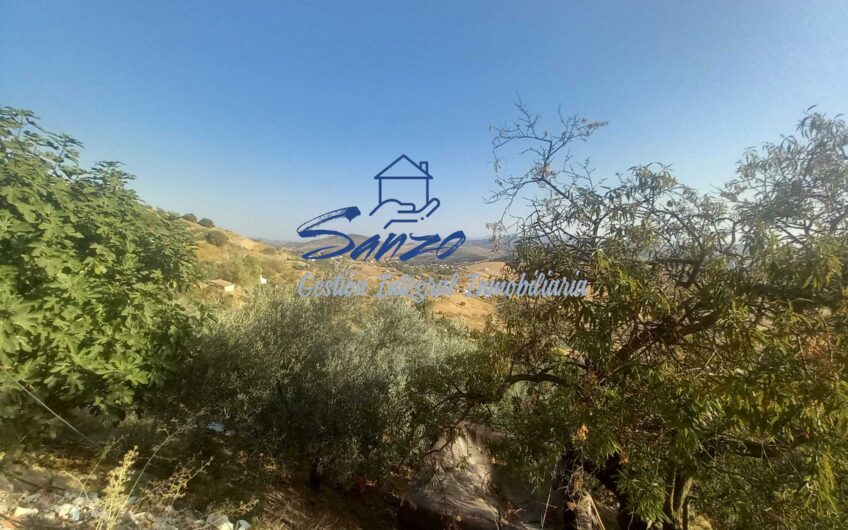 Finca rústica en Vva de la Concepción